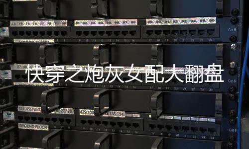 《疯批美人有小岛，年代大佬宠上心》全文在线阅读