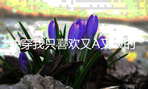 《致命偏宠》全文在线阅读