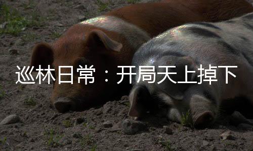 《重生年代，福气包在厂区吃瓜看戏》全文在线阅读
