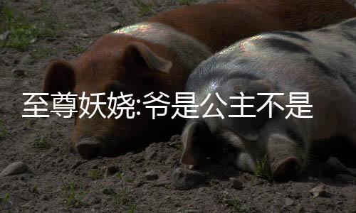 《快穿年代之炮灰逆袭》全文在线阅读